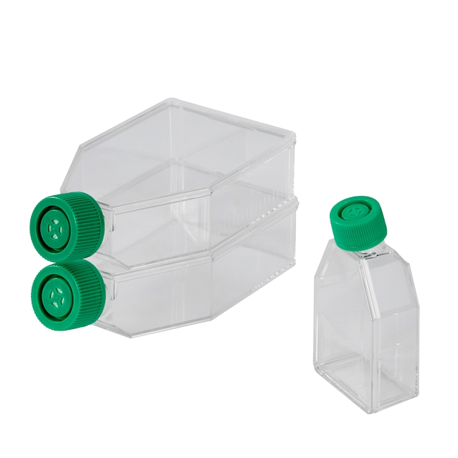 Cell culture fl. 25 cm2, filtercap